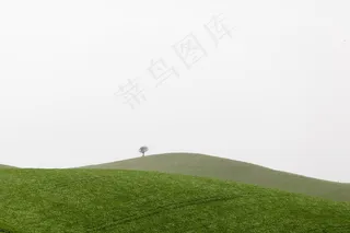 山，草，树，天空，绿色，景观，自然
