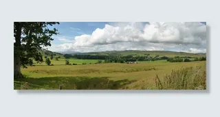 景观，场，地平线，云，农村，天空，国家