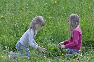 人的，儿童，女孩，金发，个人，草地，草