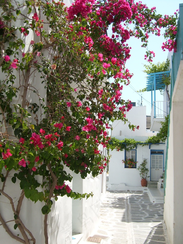 希腊，基克拉泽斯，车道，假期，旅行，劳里尔