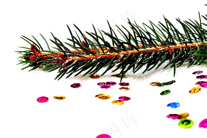 云杉，圣诞节的照片，圣诞节，圣诞节前夕