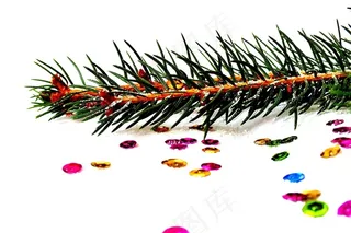 云杉，圣诞节的照片，圣诞节，圣诞节前夕