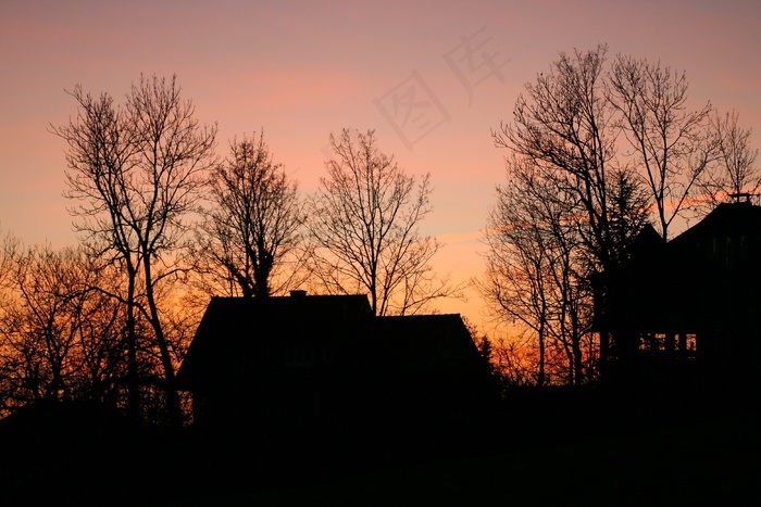 剪影，Abendstimmung，树，首页，黄昏，分支机构