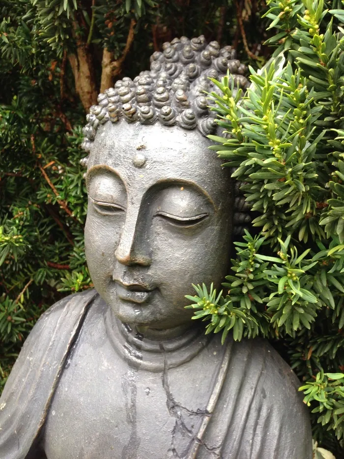佛，雕像，佛教，寺，宗教，佛教