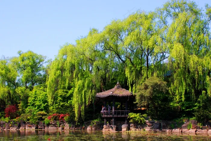 景观，自然，湖泊，风景，木材，植物，休息