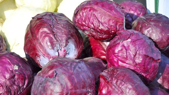 蔬菜，紫甘蓝，食品