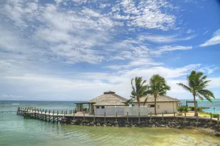 度假村，萨摩亚，游泳池，棕榈，游泳池，树，旅游