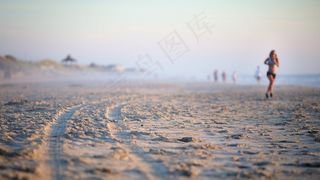 海洋,湖泊,天空,江河,海鸥,晨跑