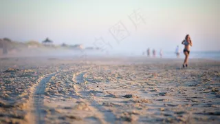 海洋,湖泊,天空,江河,海鸥,晨跑