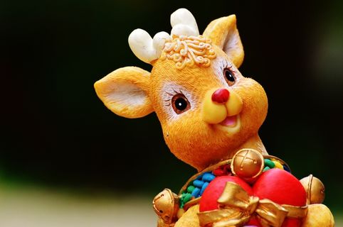 圣诞节，无花果，装饰，尼古拉斯，礼物，12月