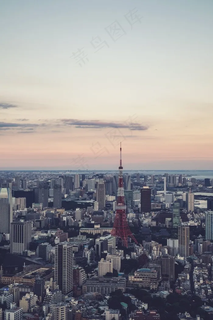 城市景观，城市，大都市，城市，现代