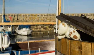 Zelenélisty apřetaženípozadí，假日，太阳晒，海岸，桶，小船，小船，搞笑