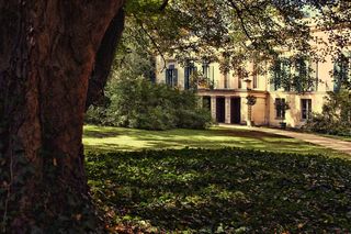 公园，树木，离，花园，城堡