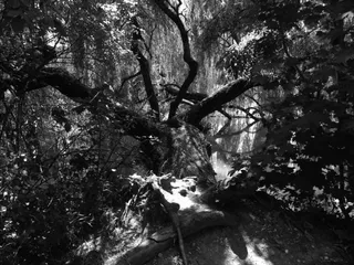 光影，皮影戏，摄影师