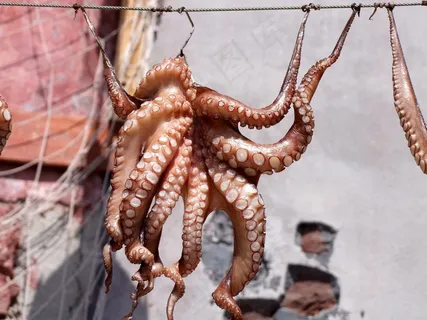 鱿鱼,章鱼,鱼,Meeresbewohner,干,美味 鱿鱼,章鱼,鱼,Meeresbewohner,干,美味