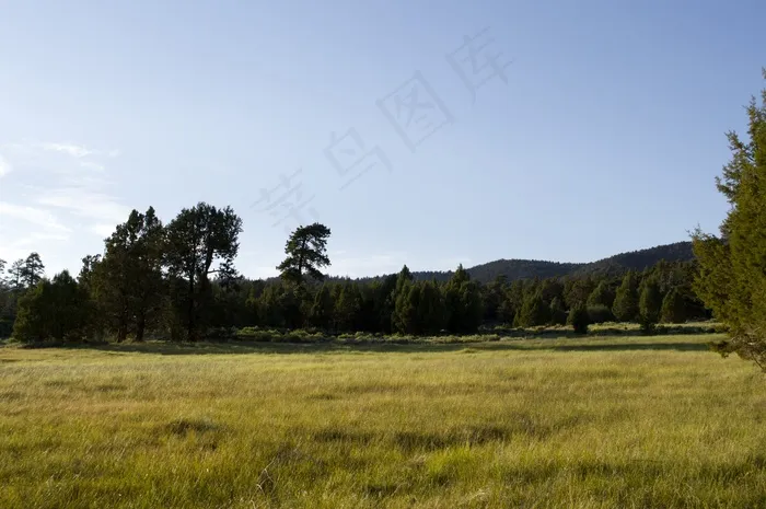 草地，高山，草地，高山，在户外，景观