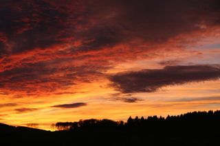 日落，天空，太阳，森林，树木，Abendstimmung，云