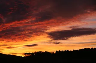 日落，天空，太阳，森林，树木，Abendstimmung，云