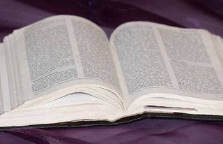 圣经，书，阅读，字体