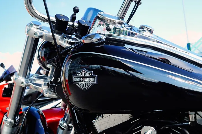 哈雷戴维森（Harley Davidson），摩托车，历史上，铬，崇拜