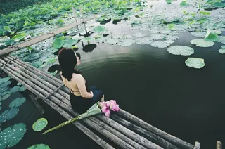 女人，坐在，池塘，亚洲，莲花，构成，生活方式