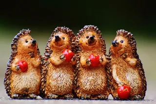 刺猬，数字，搞笑，可爱，甜，对，苹果