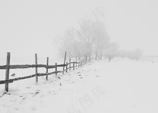 冰雪,钢笔画,树,天空,金属栏杆,在冬天用篱笆的的田野 冰雪,钢笔画,树,天空,金属栏杆,在冬天用篱笆的的田野