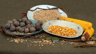 静物，坚果，谷物，玉米，活塞，板