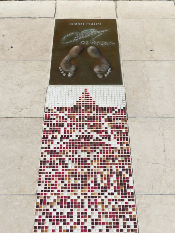 黄金足印，足迹，米歇尔·普拉蒂尼，普拉蒂尼，奖