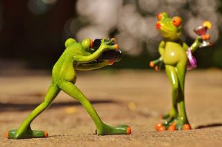 青蛙，摄影师，模型，模特照片，夫人，构成