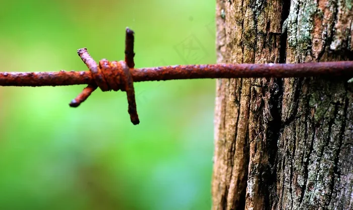 氧化物，铁丝网，木材，自然，Euskadi