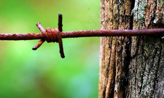 氧化物，铁丝网，木材，自然，Euskadi