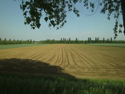 自然，广阔，农业