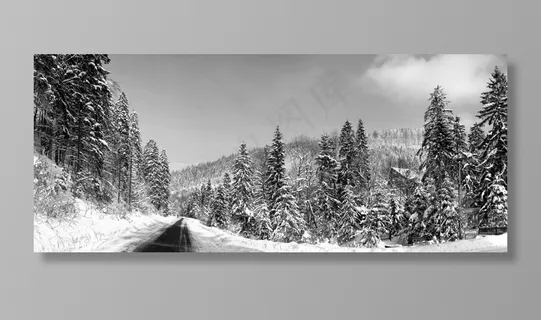 全景图,雪,性质,意见,波兰,顶视图,旅游 全景图,雪,性质,意见,波兰,顶视图,旅游