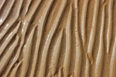 沙，海，海滩，自然，海洋，纹理，背景