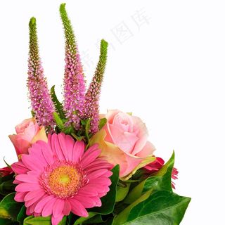 夏天，鲜花，花束，夏天花，植物，开花