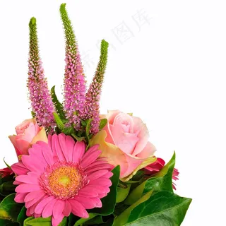 夏天，鲜花，花束，夏天花，植物，开花