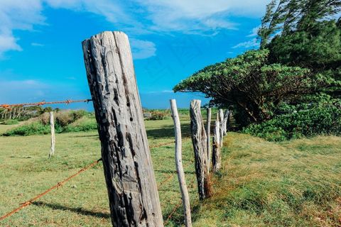 篱笆，农场，原野，自然，景观，草，绿色