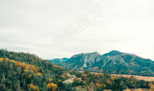 山峦,壁纸,自然公园,风景,树,景观山森林丘陵