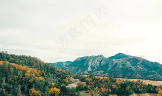 山峦,壁纸,自然公园,风景,树,景观山森林丘陵