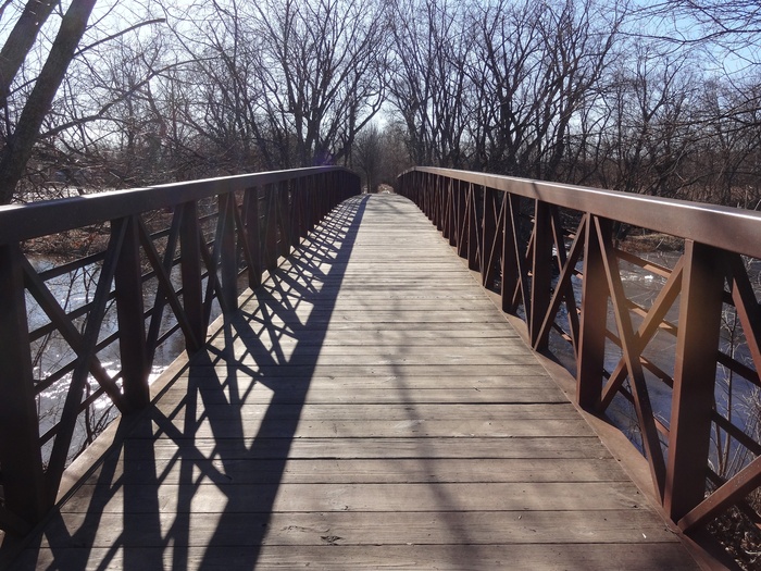 人行道，木，路径，旅行，桥，体系结构