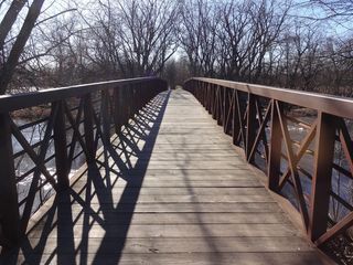 人行道，木，路径，旅行，桥，体系结构