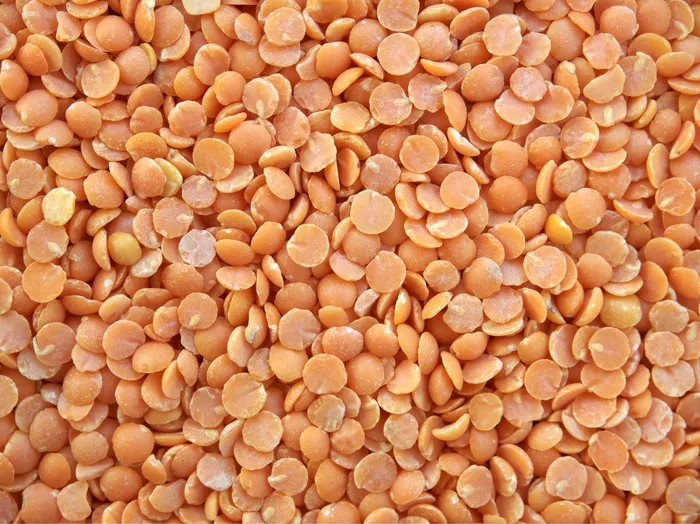 小扁豆，红色，分裂，干，豆类，素食主义者