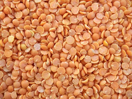 小扁豆,红色,分裂,干,豆类,素食主义者 小扁豆,红色,分裂,干,豆类,素食主义者