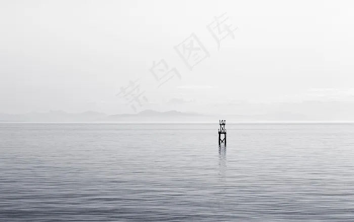 海洋,湖泊,江河,帆船,冲浪,海黑色和白色海洋系泊浮标