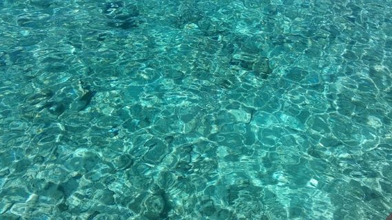 水，海，绿色，清除，海洋，热带，沙滩水