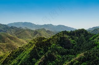 景观，山，丘陵，绿色，郁郁葱葱，植被