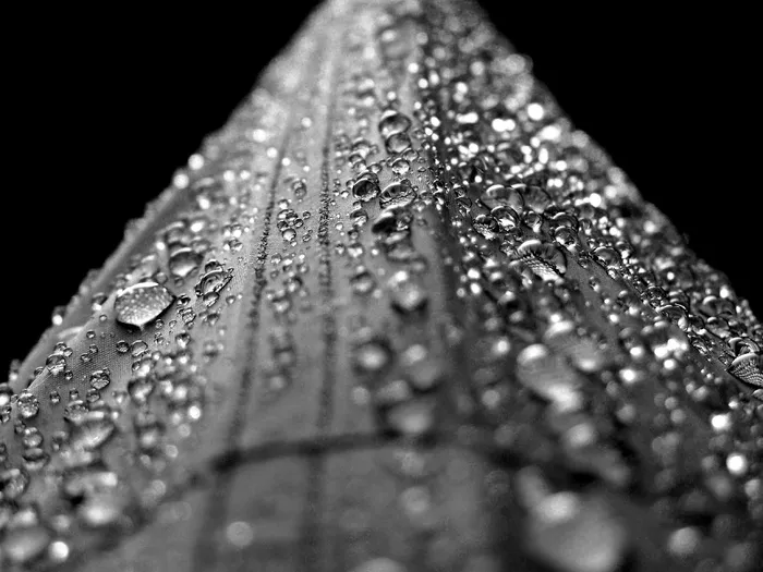 水，滴，水滴，雨，液体，气泡，飞溅