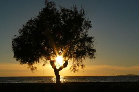 太阳，夕阳，日落，水，傍晚的天空，大海