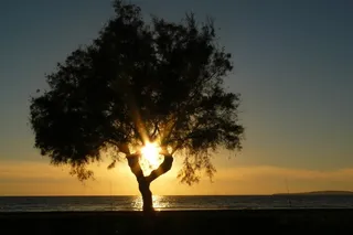 太阳，夕阳，日落，水，傍晚的天空，大海